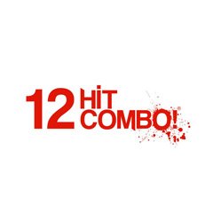 12 Hit Combo