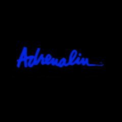 Adrenalin Interactive