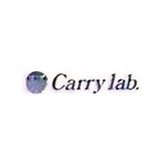 Carry Lab