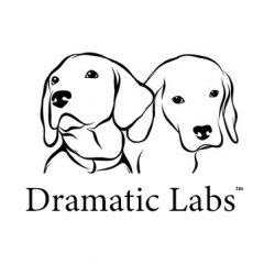 Dramatic Labs