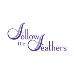 Follow The Feathers