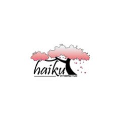 Haiku Interactive