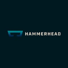 Hammerhead VR