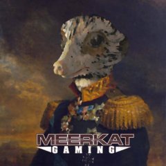 Meerkat Gaming