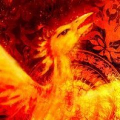 Phoenix Reborn