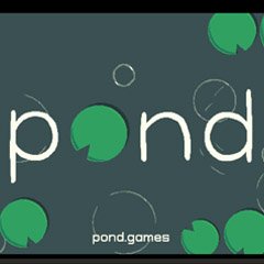 Pond