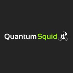 QuantumSquid