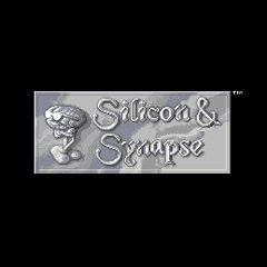 Silicon & Synapse