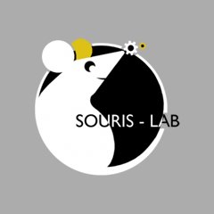 Souris-Lab