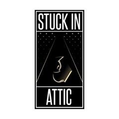 Stuck In Attic