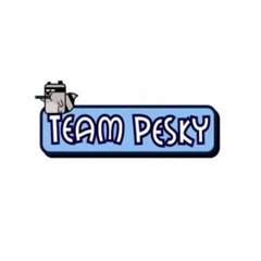 Team Pesky