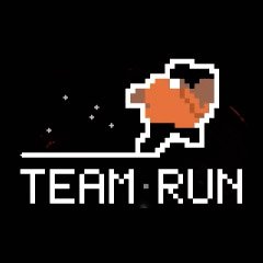 Team Run