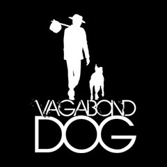 Vagabond Dog