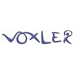 Voxler