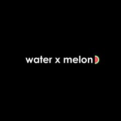 Water X Melon