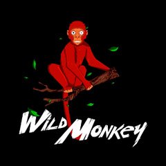 Wild Monkey