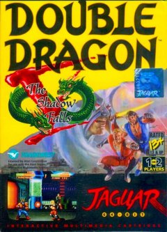 Double Dragon V: The Shadow Falls (US)