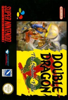 Double Dragon V: The Shadow Falls (EU)