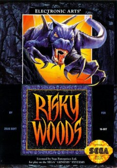 Risky Woods (US)