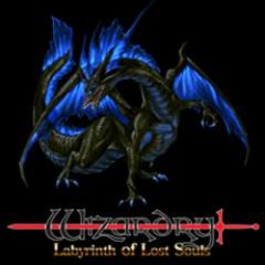 Wizardry: Labyrinth Of Lost Souls (EU)