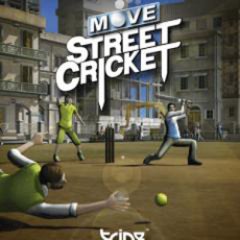 Move Street Cricket (EU)