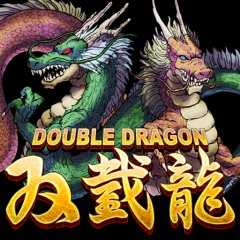 <a href='https://www.playright.dk/info/titel/double-dragon-2011'>Double Dragon (2011)</a>    16/30