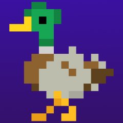 Time Ducks (US)
