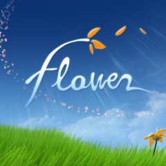 <a href='https://www.playright.dk/info/titel/flower-2009'>Flower (2009)</a>    30/30