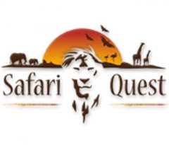 Safari Quest (US)