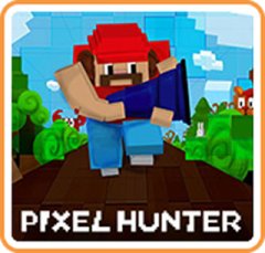 Pixel Hunter (US)