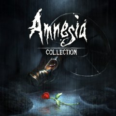 Amnesia: Collection (EU)