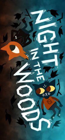 Night In The Woods (US)