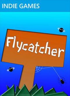 Flycatcher (US)