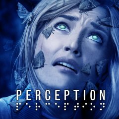 Perception (EU)