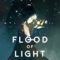 Flood Of Light (EU)