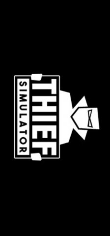 Thief Simulator (US)