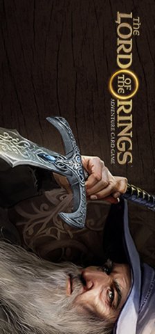 Lord Of The Rings, The: Adventure Card Game (US)