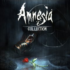 <a href='https://www.playright.dk/info/titel/amnesia-collection'>Amnesia: Collection</a>    4/30