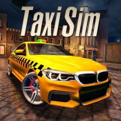 Taxi Sim 2020 (US)