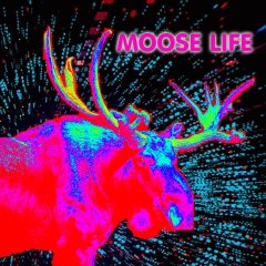 Moose Life (EU)