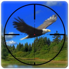 <a href='https://www.playright.dk/info/titel/america-wild-hunting'>America Wild Hunting</a>    17/30