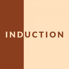 Induction (EU)