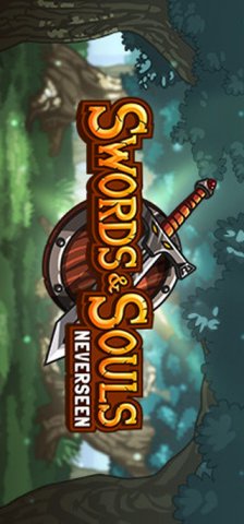 Swords & Souls: Neverseen (US)