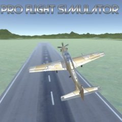 Pro Flight Simulator (2021) (US)