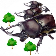 Attack On Beetle (US)