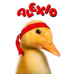 <a href='https://www.playright.dk/info/titel/alexio'>Alexio</a>    7/30