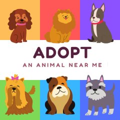 Adopt An Animal Near Me (EU)