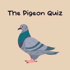 Pigeon Quiz, The (EU)
