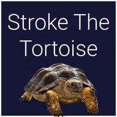 Stroke The Tortoise (EU)