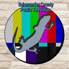 Salamander County Public Television (EU)